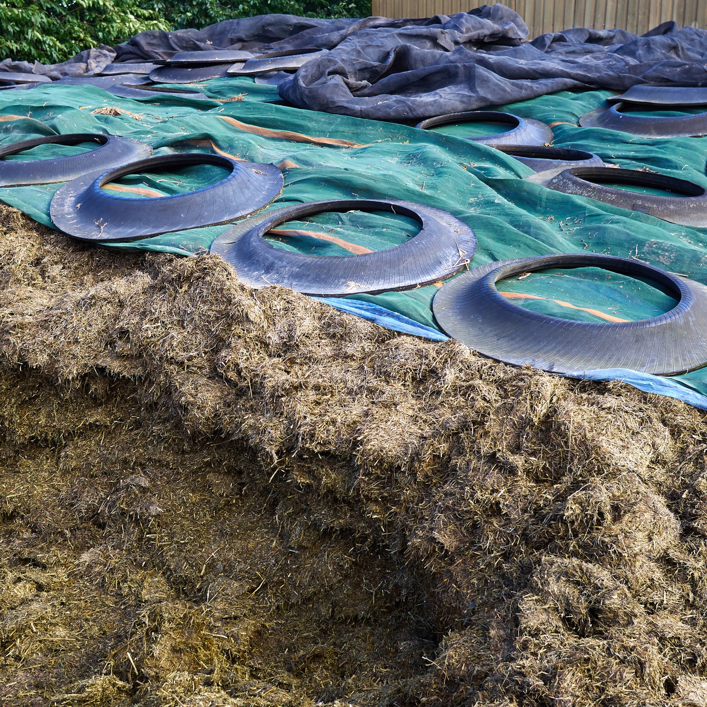 Silage Care Vossen